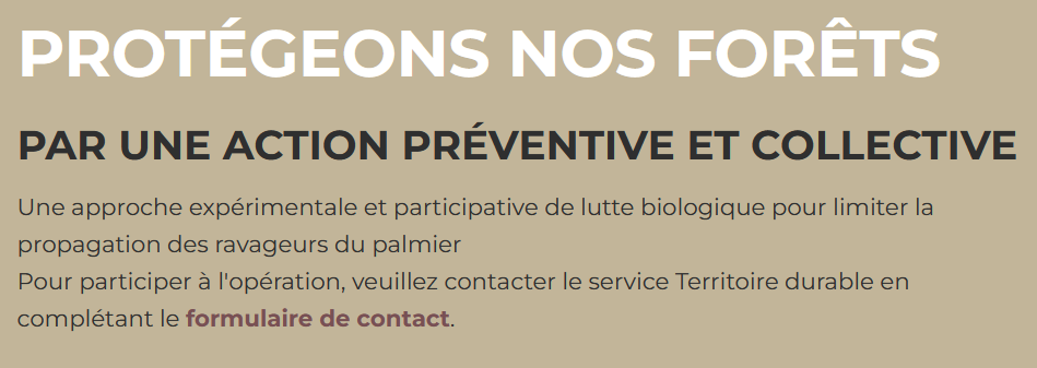 YWDocPersonnaliserPolices_Palmiers_Montserrat